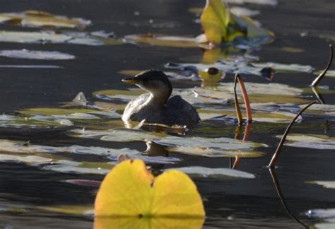 La Natura A La Baixa Tordera Can Jalp Arenys De Munt