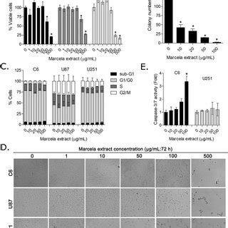 A Cell Proliferation By SRB Assay And B Microphotographs 10