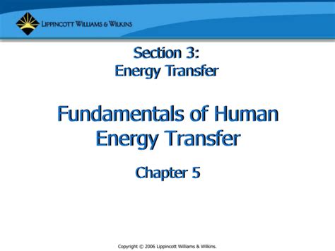 Fundamentals Of Human Energy Transfer