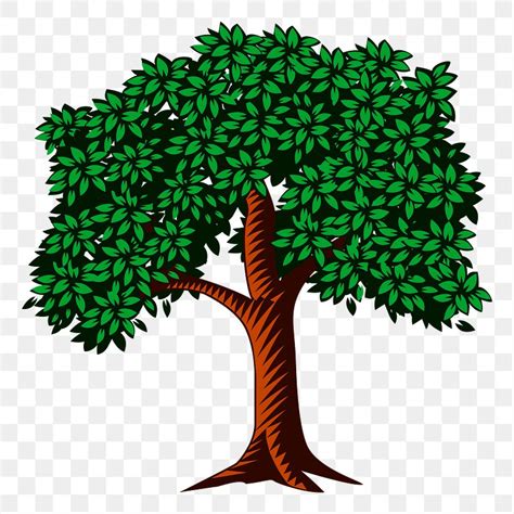 Tree png sticker, transparent background. | Free PNG - rawpixel