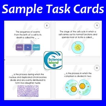 Mitosis And Meiosis Task Cards Activity For Biology By Science Island