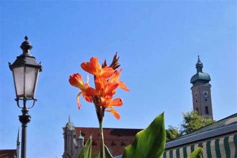 Oktoberfest Around The Corner 5 Reasons Why You Should Stick Around And Explore Munich And