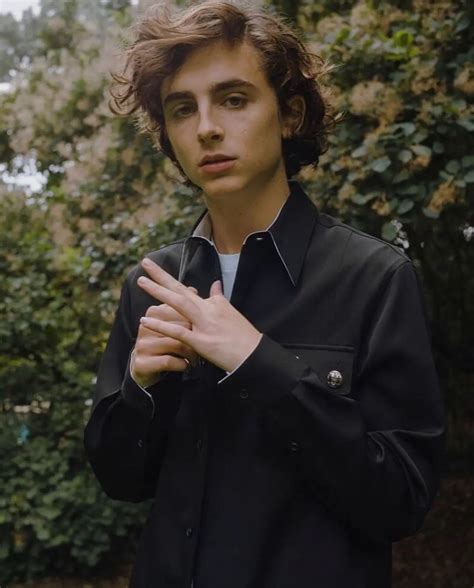 Timothee Chalamet Age, Wiki, Height, Girlfriend, Family & More ...