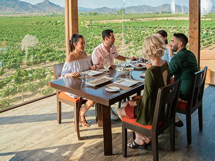 Descubre El Mejor Vino De Valle De Guadalupe