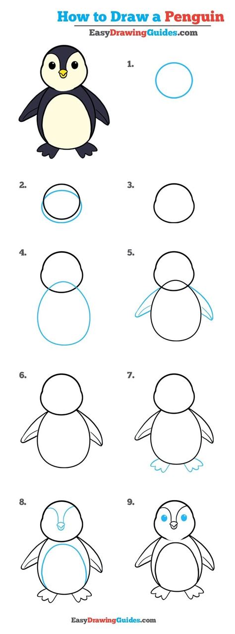 How to Draw a Penguin in a Few Easy Steps | Easy Drawing Guides