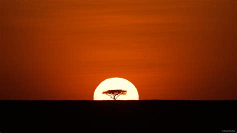 Imgp7901 African Sunrise Serengeti Tanzania One Minute La Flickr