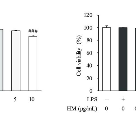 Effect Of Hm On Cell Viability In Raw2647 Cells Cells Were Treated