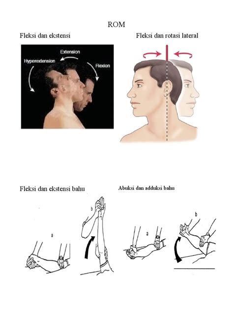 Fleksi Dan Ekstensi Fleksi Dan Rotasi Lateral Pdf