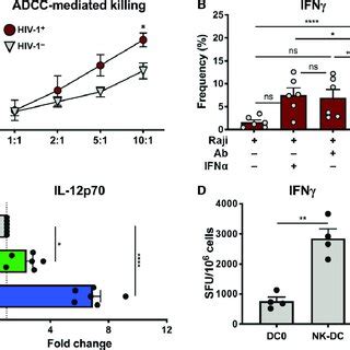 Schematic Depicting The Mechanism Of NK Cell Help In DC Mediated