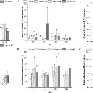 F B Ratio A The Relative Abundance Of Actinobacteria B And