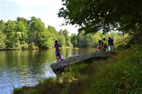 Julian Price Memorial Park Blue Ridge Parkway Carolina Outdoors Guide