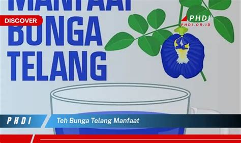 Temukan Manfaat Teh Bunga Telang Yang Wajib Kamu Intip