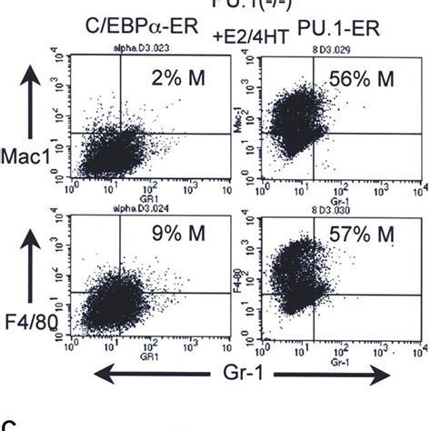 Inability Of C Ebp To Induce Myeloid Maturation Of Pu 1 Cells A