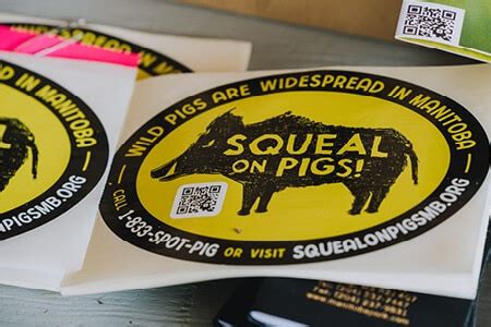 Outreach Campaign Sticker Squeal On Pigs