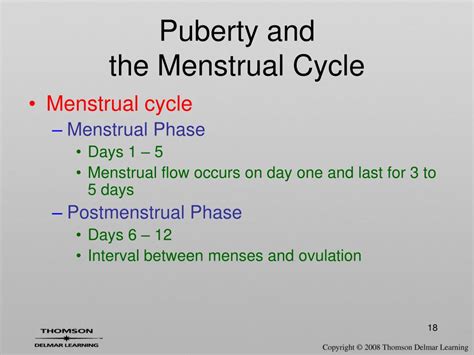 Ppt Female Reproductive System Powerpoint Presentation Free Download