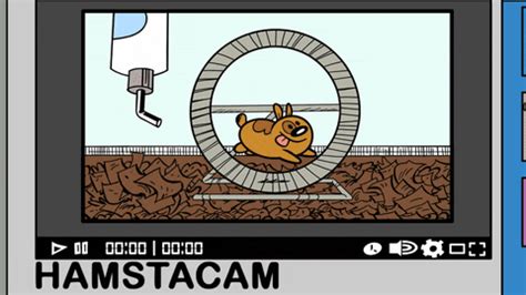 Cartoon Hamster GIFs - Get the best GIF on GIPHY