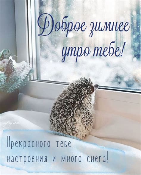 Доброе зимнее утро! - красивые картинки (95 фото)