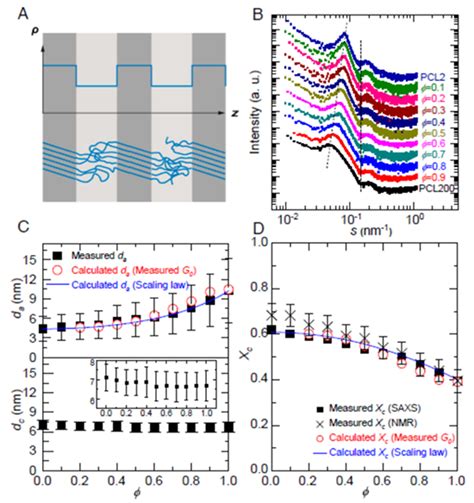 MLU 王泽凡Thomas Thurn Albrecht等 PNAS 缠结调控半晶聚合物无定形区结构 中国聚合物网科教新闻