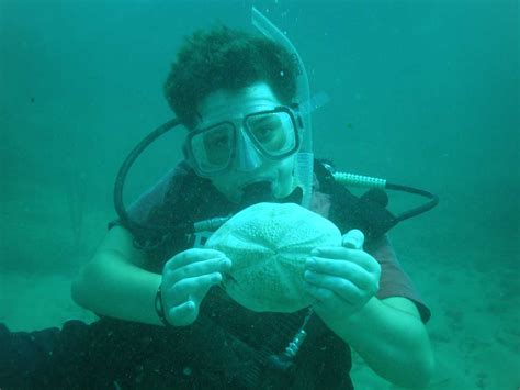 Scuba Diving San Juan Dive Puerto Rico Dive Caribbean Caribe Aquatic