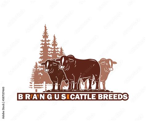 BRANGUS CATTLE RANCH LOGO, silhouette of great bull standing vector ...