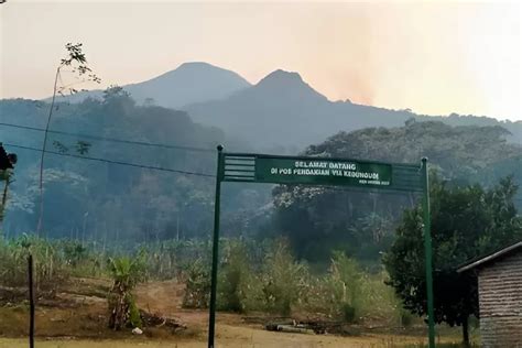 Update Status Gunung Penanggungan Setelah Kebakaran Begini Kondisinya