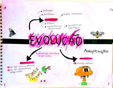 Mapa Mental Sobre Evolução - MAPA MENTAL SOBRE EVOLUÇÃO - Maps4Study