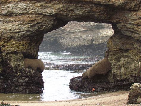 Secret Beaches In Northern California