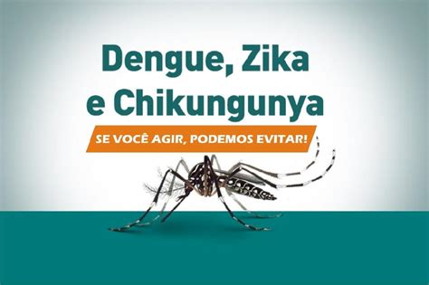 Voc Sabe A Diferen A Entre Dengue Zika E Chikungunya Paulista Pe