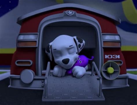 Marshall Sleeping With Space Toy Paw Patrol Marshall Paw Patrol Paw