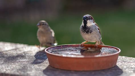 Canon’s new EOS R10 and R7 autofocus is amazing for tracking moving