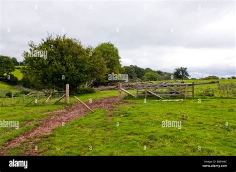beautiful english field  countryside scene stock photo alamy