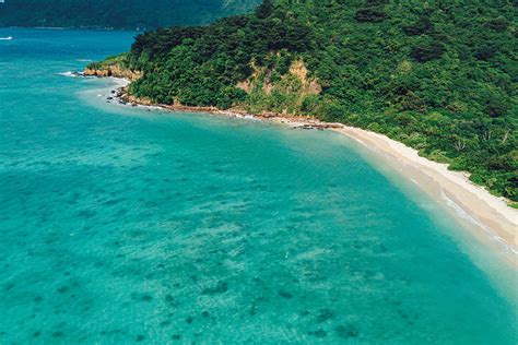 日本最西端の秘境、西表島【後編】《世界自然遺産をめぐる旅》 Discover Japan ディスカバー・ジャパン