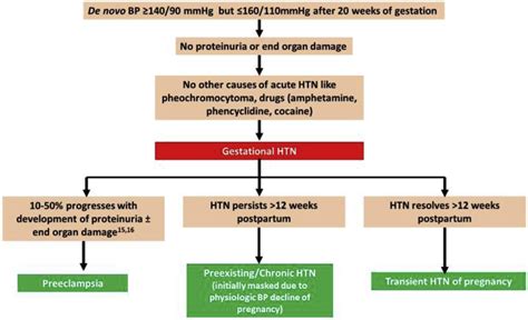 Preeclampsia For The Nephrologist Current Understanding In Diagnosis