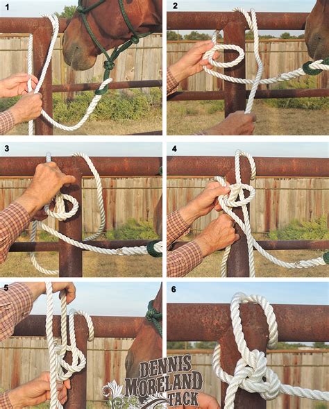 How To Safely Tie A Horse Using A Bowline Knot Dm Tack