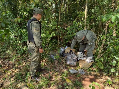 Gendarmes Encuentran Kilos De Marihuana Entre La Maleza Abandonada