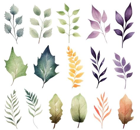 Premium Vector Watercolor Botanical Illustrations Set