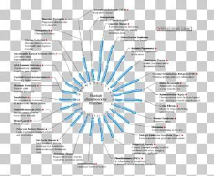 Chromosome Abnormality Deletion DiGeorge Syndrome Mutation PNG Clipart