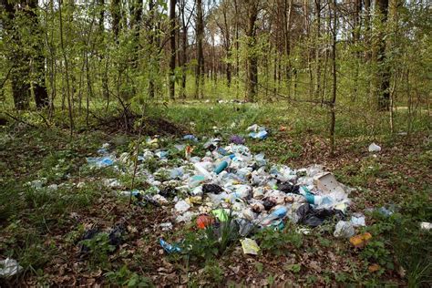 Mont N De Basuras En El Bosque Problemas Con El Medio Ambiente