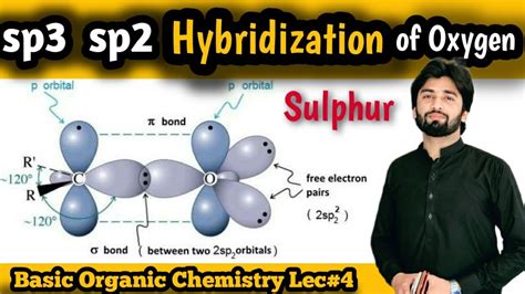 Hybridization Of Oxygen Hybridization Of Sulphur Sp And Sp