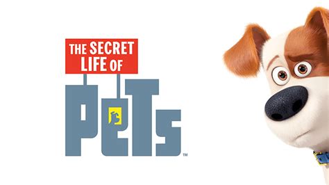 Netcine Pets A Vida Secreta Dos Bichos