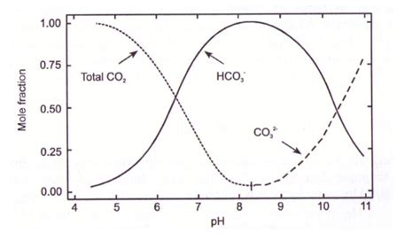 Effects Of PH On The Relative Proportions Of Total CO 2 HCO 3 And CO