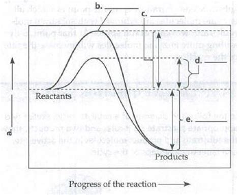 In The Following Graph Of An Exergonic Reaction With And Without An Enzyme Catalyst Label Parts