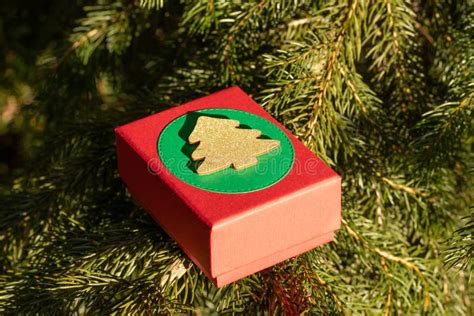 Mysterious Ts In A T Box On The Branches Of The Christmas Tree On