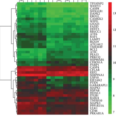 Identification Of Differentially Expressed Autophagy Related Genes In