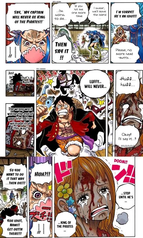 One Piece Chi Pi Fedele A Luffy Tra Nami E Zoro Il Membro Pi