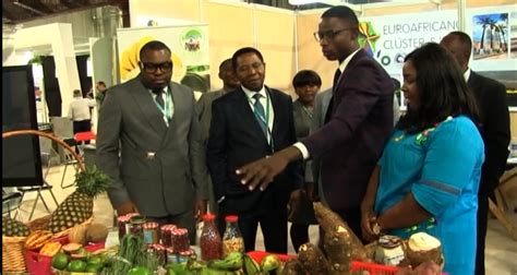 El Ministerio De Comercio De Guinea Ecuatorial Participa En La Feria