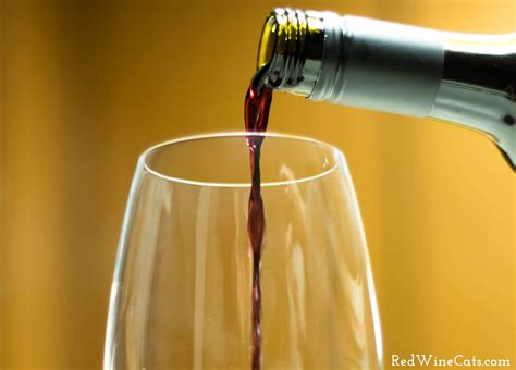 Wine Thoughts On Room Temperature Red Wine Cats
