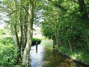 Pickering Beck - Wikipedia