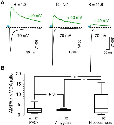 Ampa Nmda Ratio As A Function Of Synaptic Inputs A Ampa And Nmda