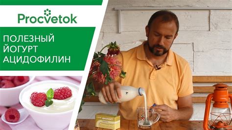 РЕЦЕПТЫ ЗДОРОВЬЯ: полезный ЙОГУРТ Ацидофилин - YouTube